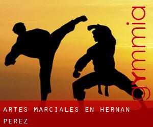 Artes marciales en Hernán-Pérez