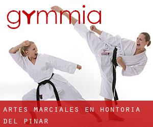 Artes marciales en Hontoria del Pinar
