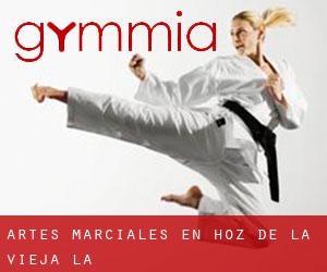 Artes marciales en Hoz de la Vieja (La)