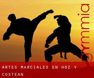 Artes marciales en Hoz y Costean