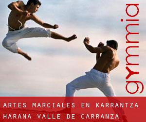 Artes marciales en Karrantza Harana / Valle de Carranza
