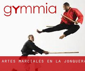 Artes marciales en la Jonquera