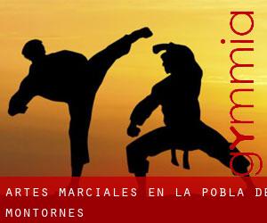 Artes marciales en la Pobla de Montornès