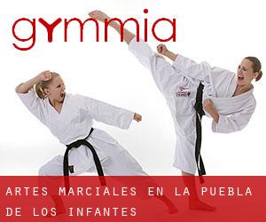 Artes marciales en La Puebla de los Infantes