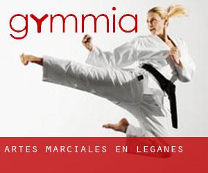 Artes marciales en Leganés Artes marciales en Leganés