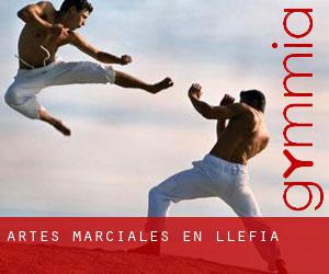 Artes marciales en Llefià