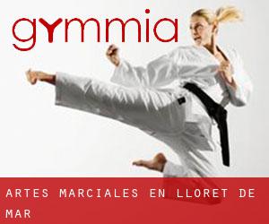 Artes marciales en Lloret de Mar