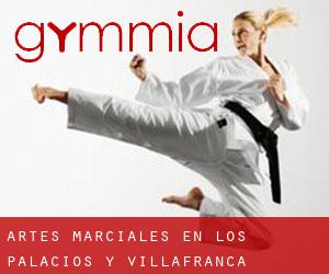 Artes marciales en Los Palacios y Villafranca