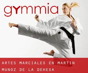 Artes marciales en Martín Muñoz de la Dehesa