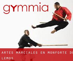 Artes marciales en Monforte de Lemos