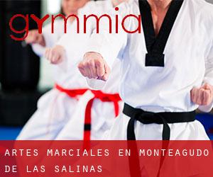 Artes marciales en Monteagudo de las Salinas