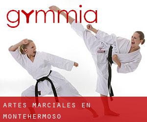 Artes marciales en Montehermoso