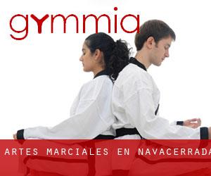 Artes marciales en Navacerrada