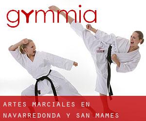 Artes marciales en Navarredonda y San Mamés