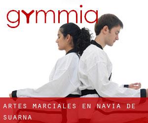 Artes marciales en Navia de Suarna