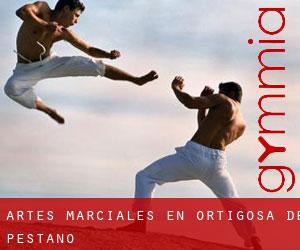 Artes marciales en Ortigosa de Pestaño