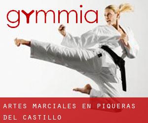 Artes marciales en Piqueras del Castillo