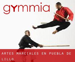 Artes marciales en Puebla de Lillo