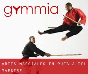 Artes marciales en Puebla del Maestre