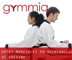 Artes marciales en Quintanilla de Onésimo