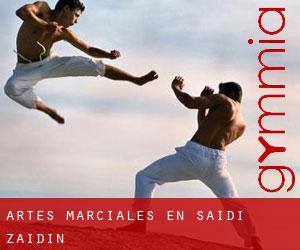 Artes marciales en Saidí / Zaidín