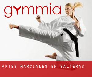 Artes marciales en Salteras