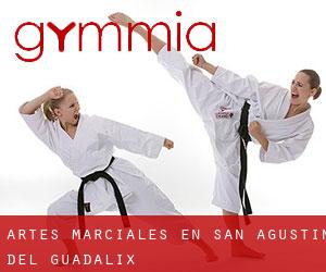 Artes marciales en San Agustín del Guadalix