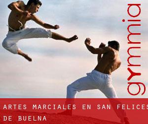 Artes marciales en San Felices de Buelna