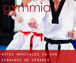 Artes marciales en San Fernando de Henares