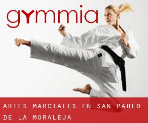 Artes marciales en San Pablo de la Moraleja