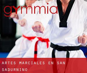 Artes marciales en San Sadurniño