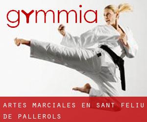 Artes marciales en Sant Feliu de Pallerols