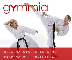 Artes marciales en Sant Francesc de Formentera