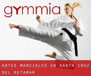 Artes marciales en Santa Cruz del Retamar
