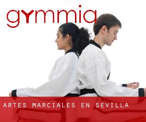 Artes marciales en Sevilla