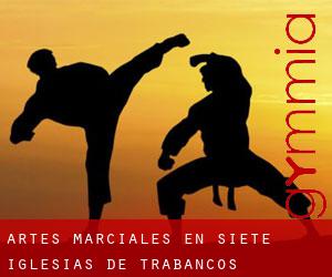 Artes marciales en Siete Iglesias de Trabancos