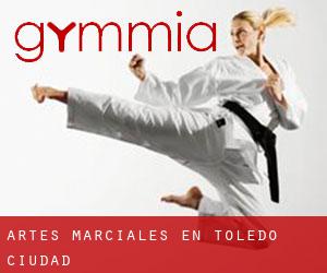 Artes marciales en Toledo (Ciudad)