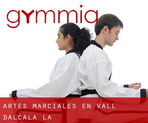 Artes marciales en Vall d'Alcalà (la)