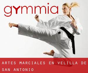 Artes marciales en Velilla de San Antonio