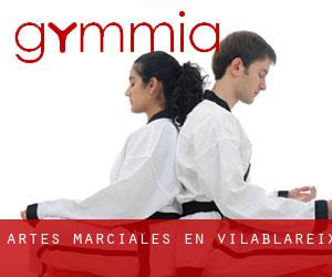 Artes marciales en Vilablareix