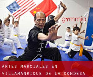 Artes marciales en Villamanrique de la Condesa