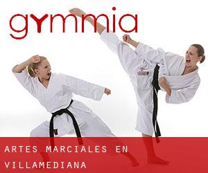 Artes marciales en Villamediana