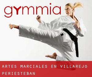 Artes marciales en Villarejo-Periesteban