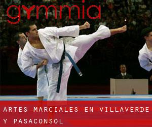 Artes marciales en Villaverde y Pasaconsol
