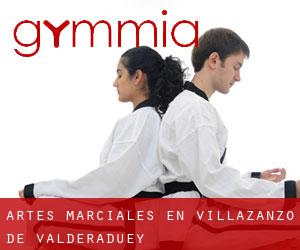 Artes marciales en Villazanzo de Valderaduey