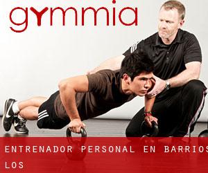 Entrenador personal en Barrios (Los)