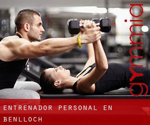Entrenador personal en Benlloch Entrenador personal en Benlloch