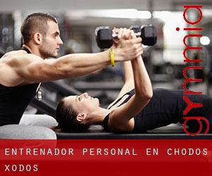 Entrenador personal en Chodos / Xodos