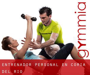 Entrenador personal en Coria del Río