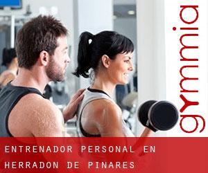 Entrenador personal en Herradón de Pinares